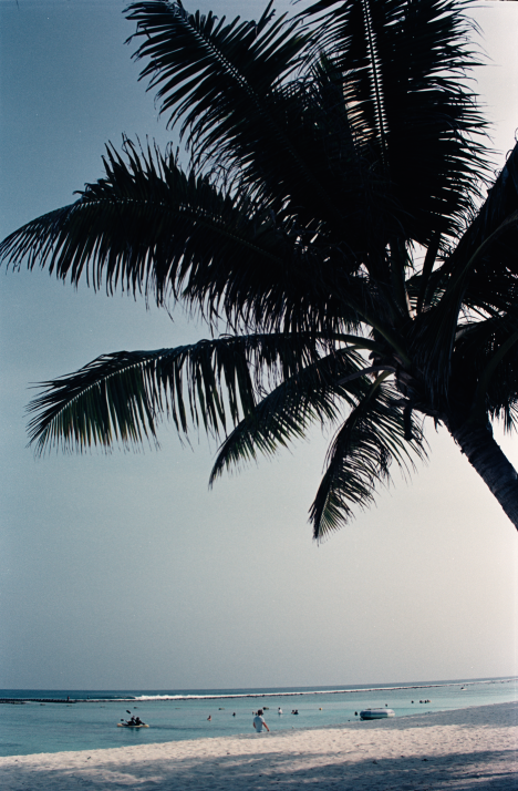 Film photograph