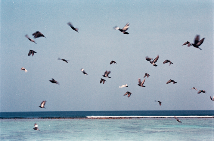 Film photograph