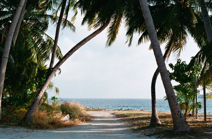 Film photograph