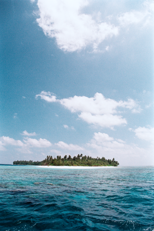 Film photograph