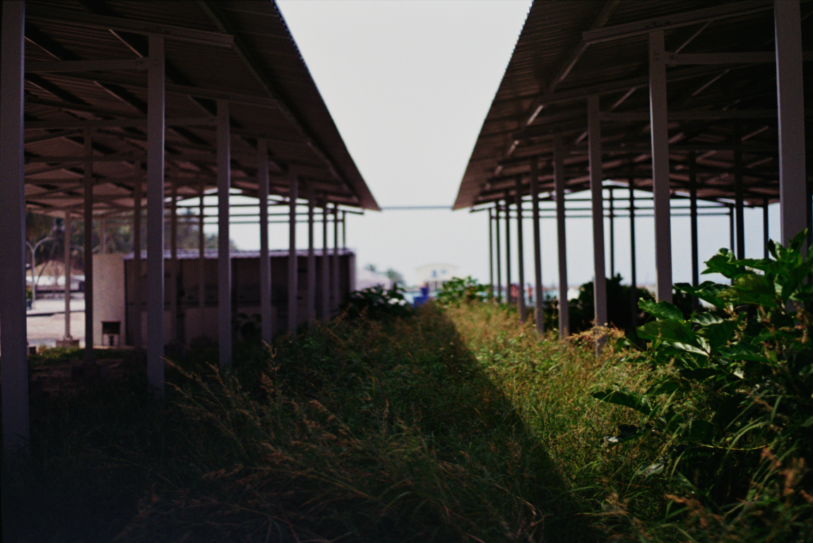KODAK GOLD 200