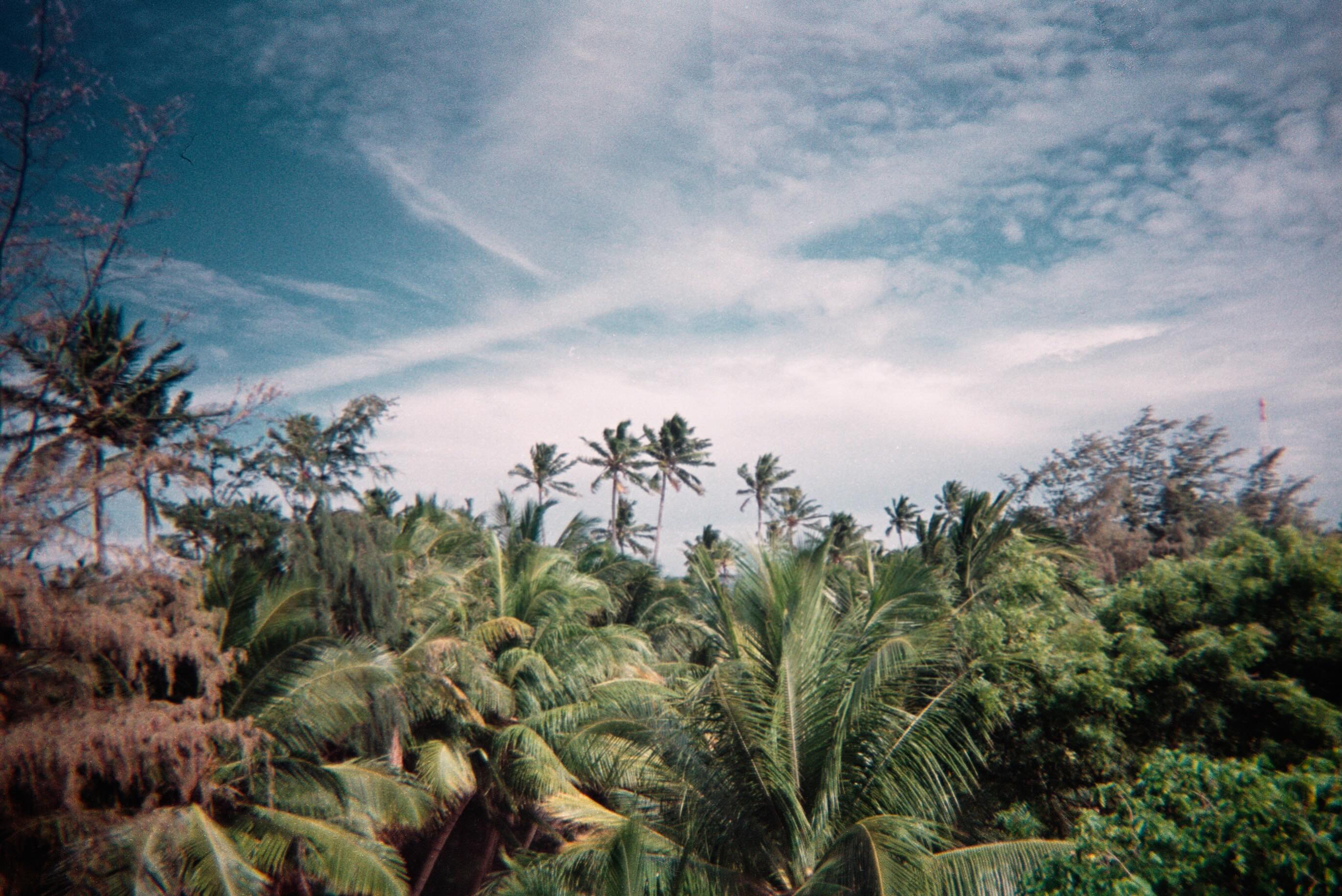 Fuvahmulah 🎞️:ultramax400 📸: kodakm35
Developed by: @darkroom.bysmolbo1